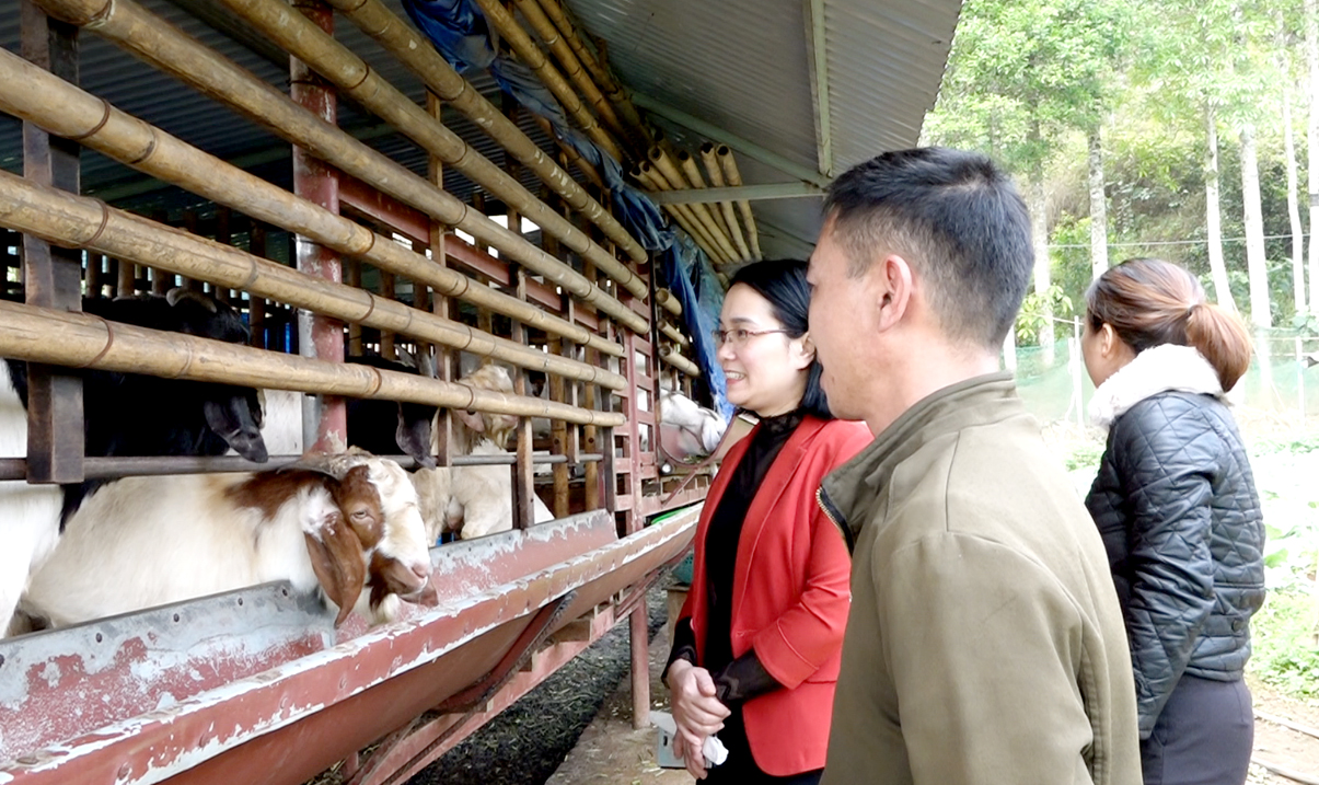 Lãnh đạo Hội Nông dân huyện thăm mô hình nuôi dê của hội viên.