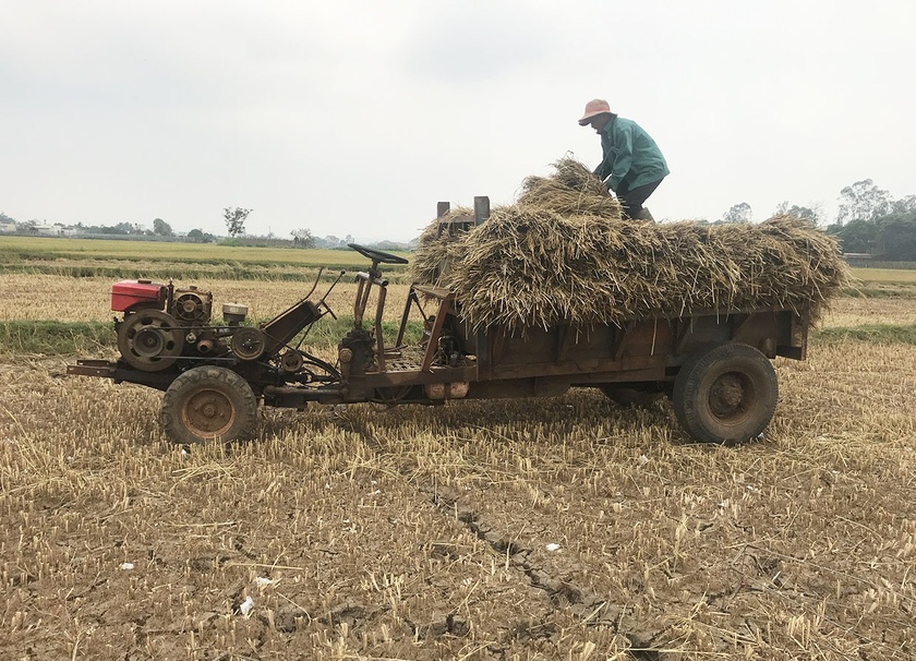 Hàng trăm ha lúa Đông Xuân thiếu nước tưới cục bộ ảnh 2