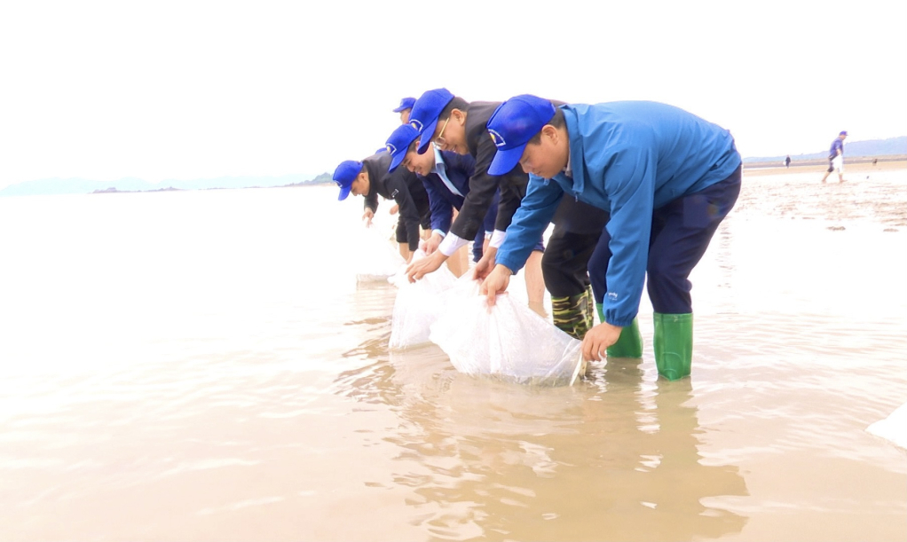 Huyện Hải Hà tổ chức thả con giống thủy sản ra vùng biển tự nhiên.