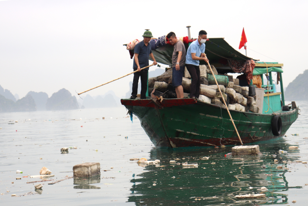 Ban Quản lý Vịnh Hạ Long huy động cán bộ, nhân viên tham gia thu gom rác trên biển. Ảnh: Hoàng Quỳnh