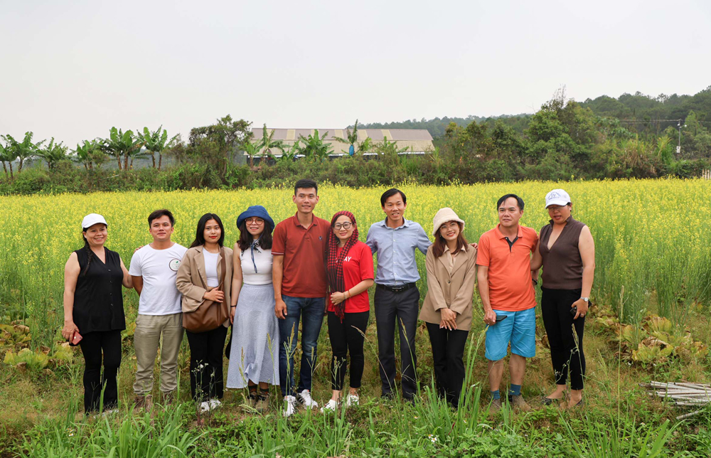 Những vườn rau quả đang thu hoạch, hoặc nở hoa rực rỡ như thế này rất dễ gặp khi đi du lịch ở Đơn Dương