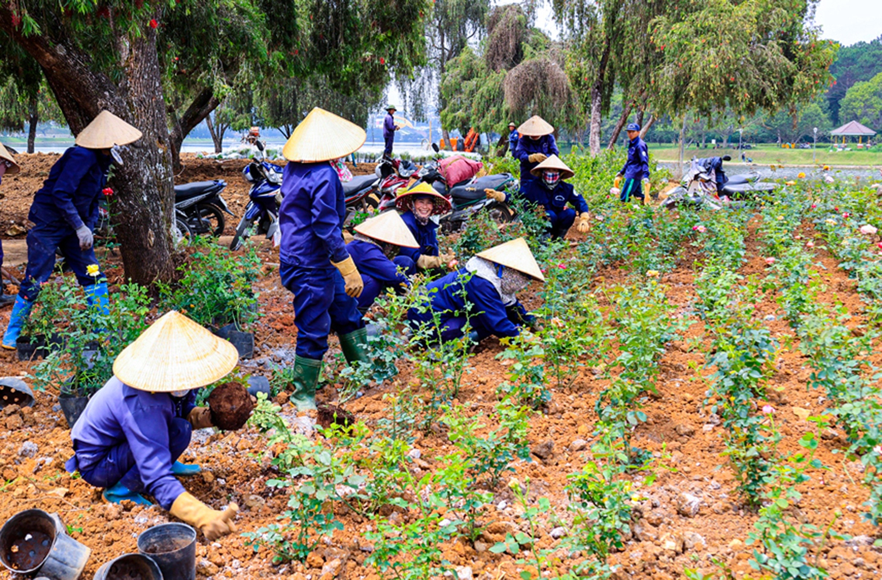 Bất động sản - Lâm Đồng: Ốc đảo Bích Câu sẽ thành công viên mở (Hình 2).