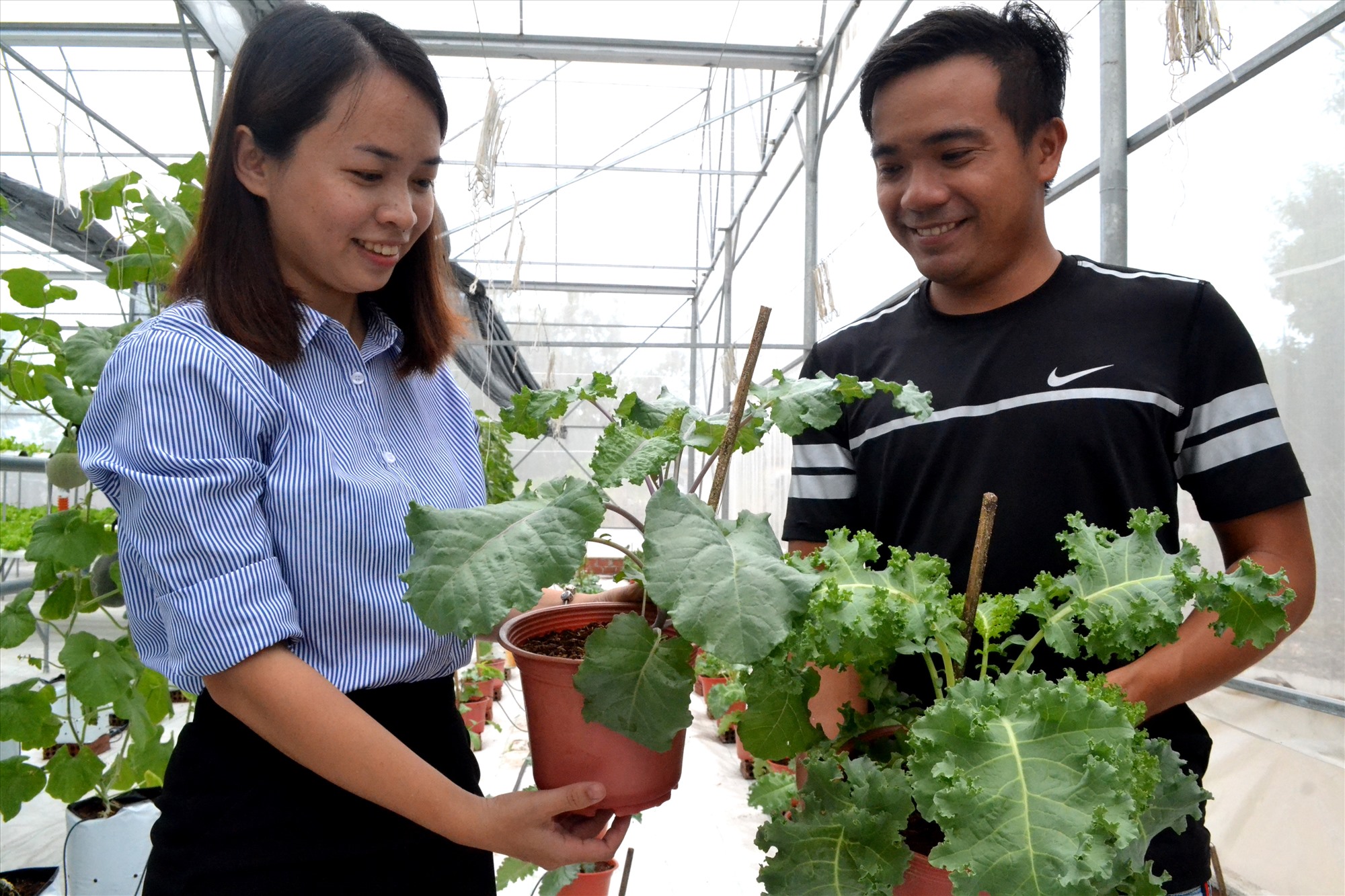 Chất lượng tín dụng chính sách ở Thăng Bình đạt loại tốt nhờ các hộ vay vốn làm ăn đạt, trả nợ đúng hạn. Ảnh: Q.VIỆT