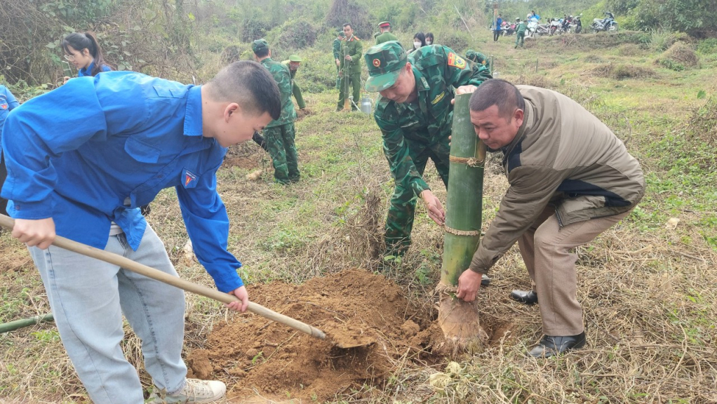 CBCS Bộ đội biên phòng cùng ĐVTN địa phương trồng tre bảo vệ biên giới