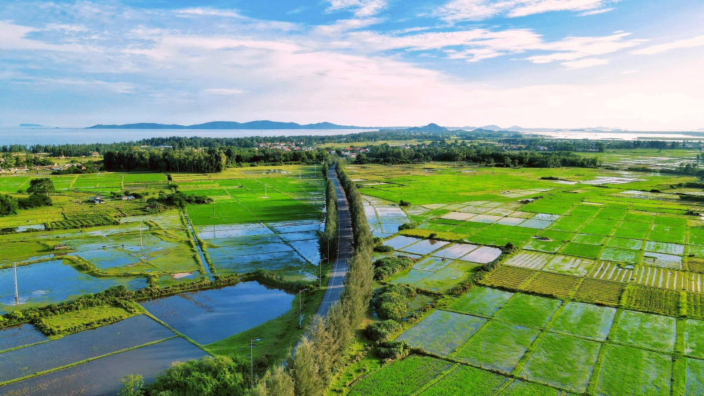 Bình Ngọc nhìn từ trên cao đẹp như một bức tranh. Xa xa là núi Ngọc Sơn.