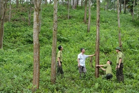 Nghị quyết về chủ trương đưa ra ngoài quy hoạch 3 loại rừng đối với diện tích chuyển mục đích sử dụng rừng sang mục đích khác để thực hiện các dự án phát triển kinh tế - xã hội trên địa bàn tỉnh Phú Thọ