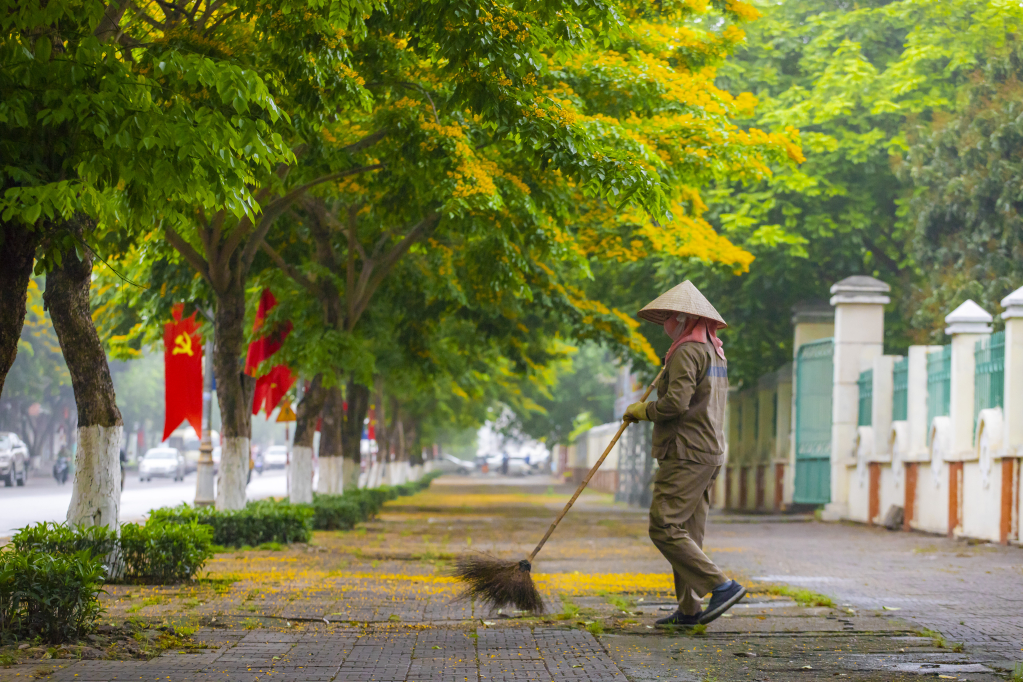 Phố xanh. Ảnh: Nguyễn Văn Cường