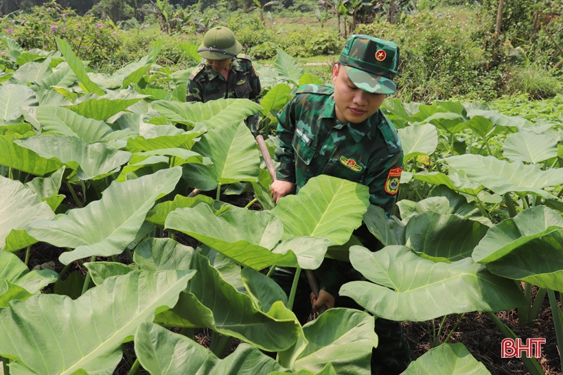 “Lạc bước” trong trang trại xanh của Đồn Biên phòng Hoà Hải