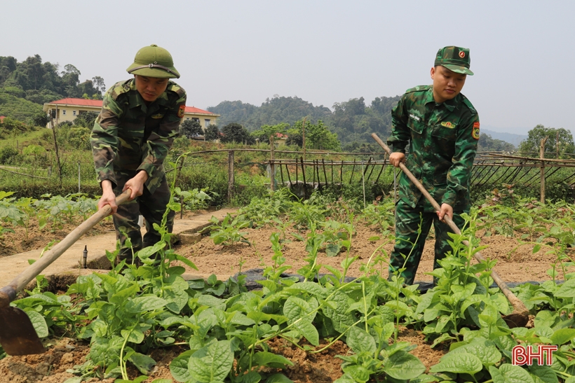 “Lạc bước” trong trang trại xanh của Đồn Biên phòng Hoà Hải