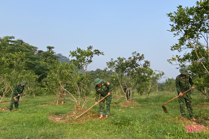 “Lạc bước” trong trang trại xanh của Đồn Biên phòng Hoà Hải