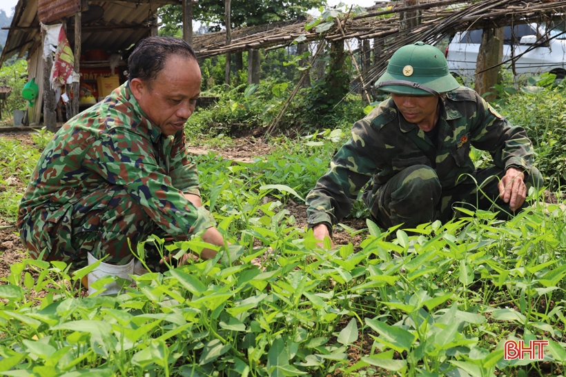 “Lạc bước” trong trang trại xanh của Đồn Biên phòng Hoà Hải