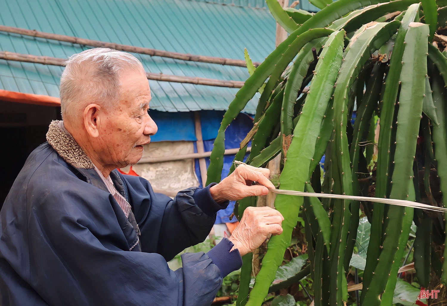 “Một đời góp nhặt” của Nhà giáo Nhân dân Bùi Thân