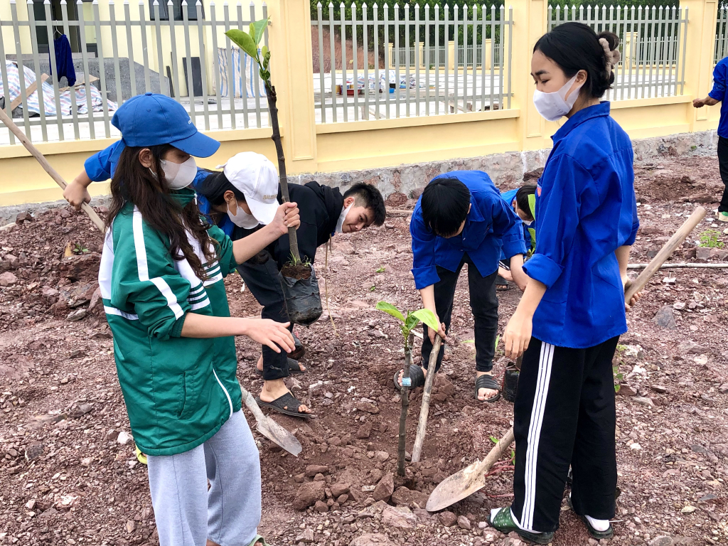 Thanh niên Vân Đồn hưởng ứng trồng cây bảo vệ môi trường.