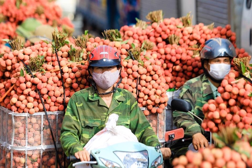 Xuất khẩu tiểu ngạch sang Trung Quốc: Bài 1 - Khi tiêu chuẩn thị trường thay đổi