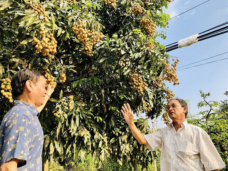 Xuất khẩu tiểu ngạch sang Trung Quốc: Bài 3 - Để thương mại biên giới được trả về đúng bản chất