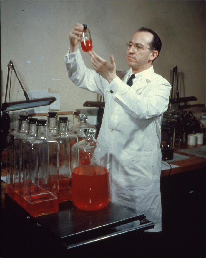 Jonas Salk – người đặt nền móng cho việc loại bỏ bệnh bại liệt trên toàn thế giới