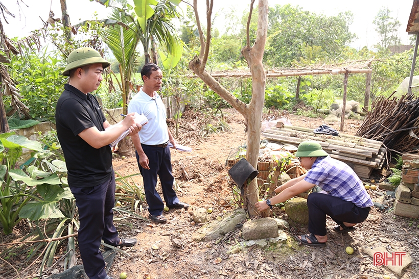 Nhộn nhịp trên công trường cao tốc Bắc - Nam qua Hà Tĩnh