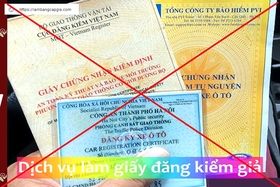 Sử dụng giấy tờ đăng kiểm giả có thể bị khởi tố hình sự