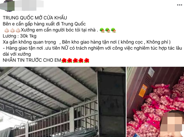 Một bài viết “tuyển người làm việc tại nhà” để dẫn dụ người dùng của các đối tượng lừa đảo. Ảnh chụp từ mạng xã hội.