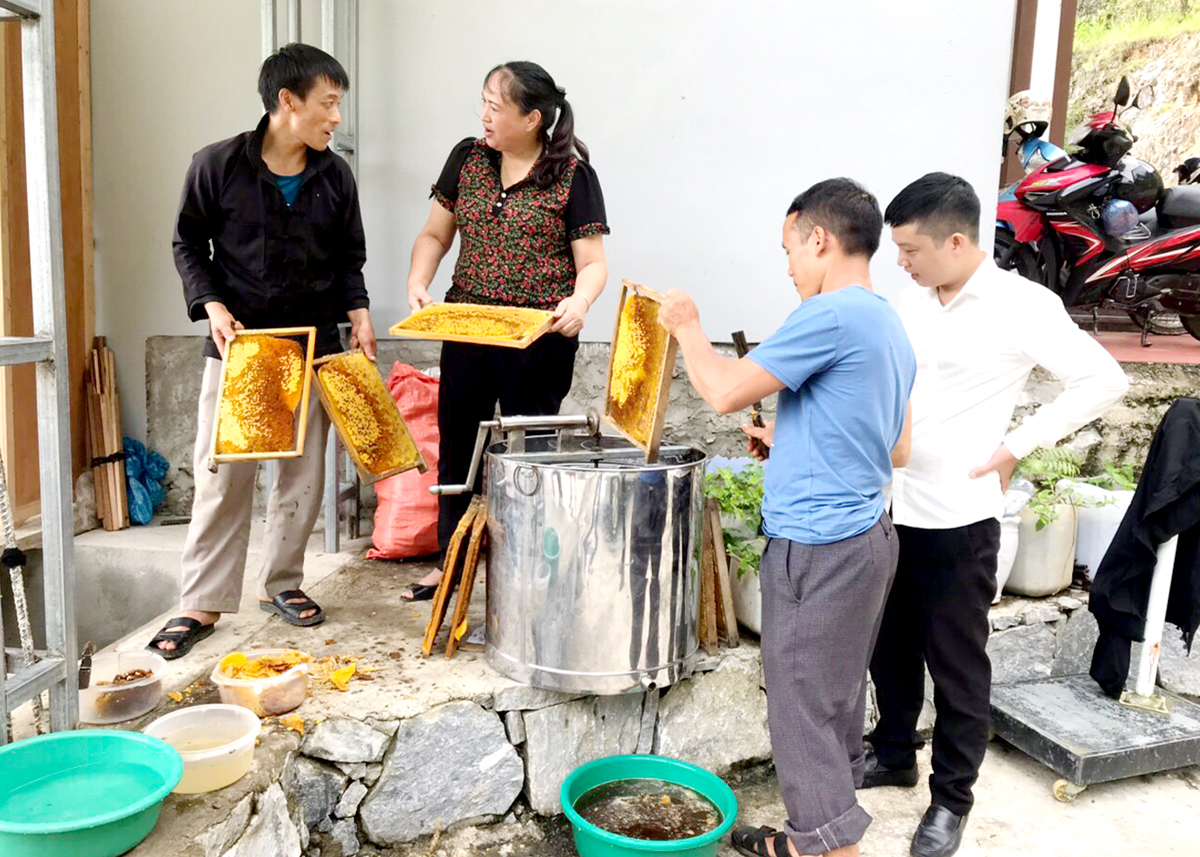 Chủ tịch Liên minh Hợp tác xã tỉnh Lò Thị Mỷ vận động hộ thành viên thị trấn Yên Minh (Yên Minh) nuôi ong.						 Ảnh: Lan Hương