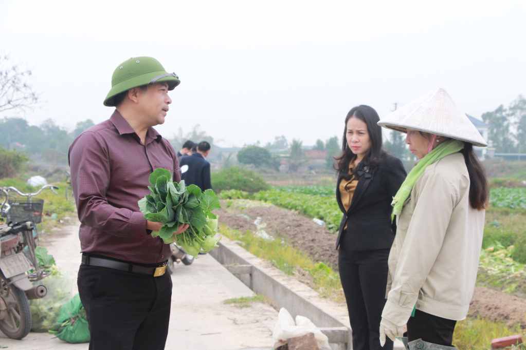 Lãnh đạo HĐND TX Quảng Yên khảo sát, nắm tình hình sản xuất nông nghiệp của người dân