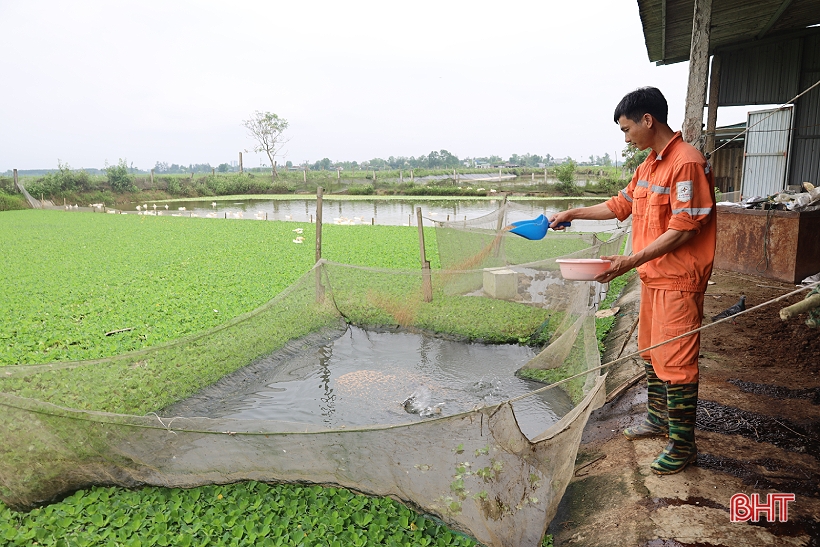 Quỹ Hỗ trợ nông dân cho hơn 2.400 hộ vay vốn phát triển kinh tế