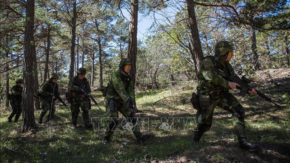 Thụy Điển,tập trận,NATO,liên minh quân sự