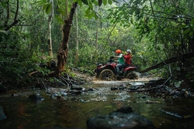 Mở tour khám phá rừng lim