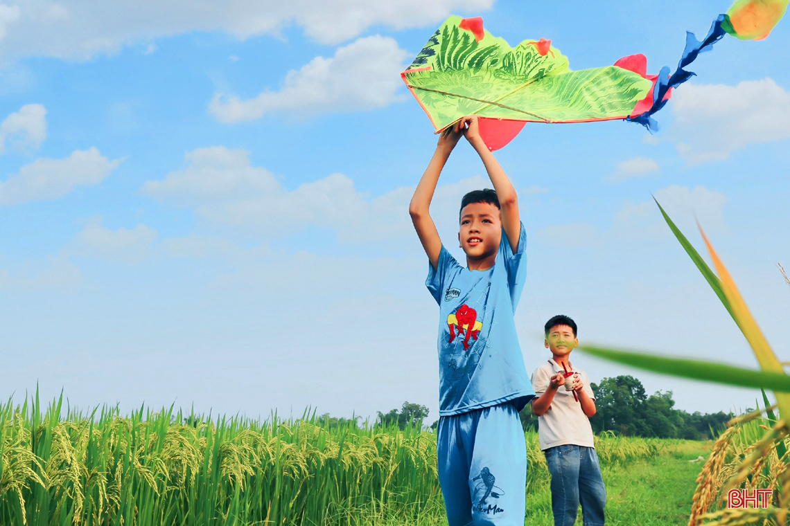 Ngút ngàn những đồng lúa “thẳng cánh cò bay” ở Hà Tĩnh