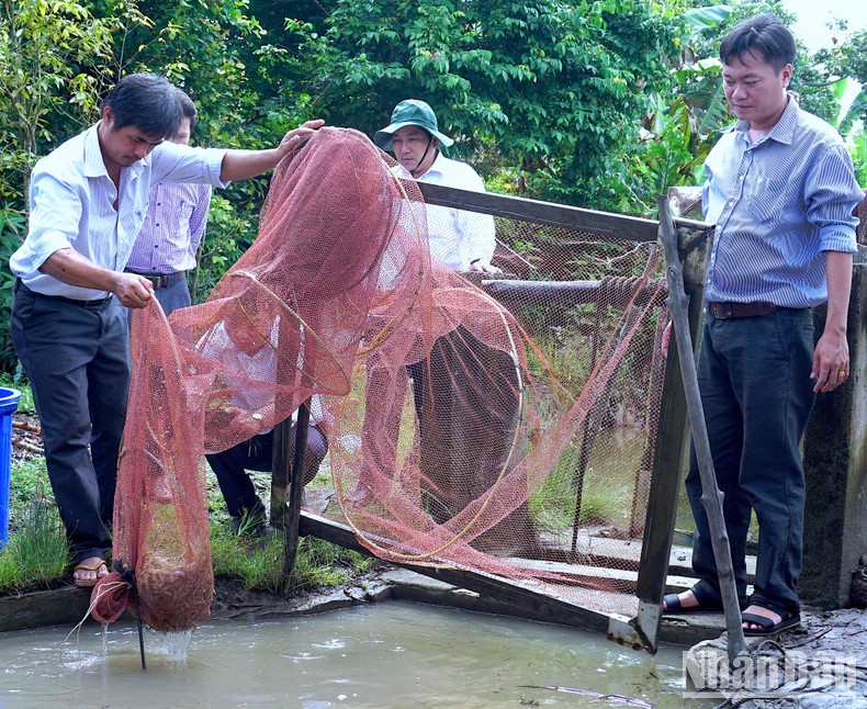 Cà Mau tìm cách vực dậy xuất khẩu thủy sản ảnh 1