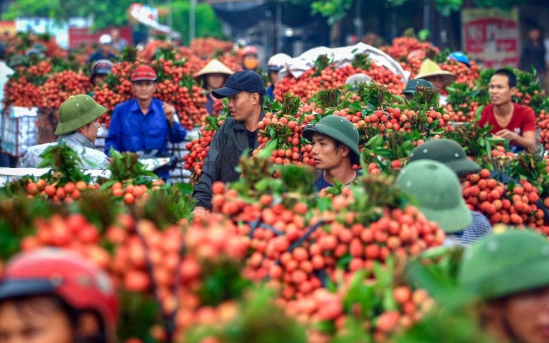 Bộ Công Thương: Đồng hành, hỗ trợ các địa phương miền núi xuất khẩu nông sản