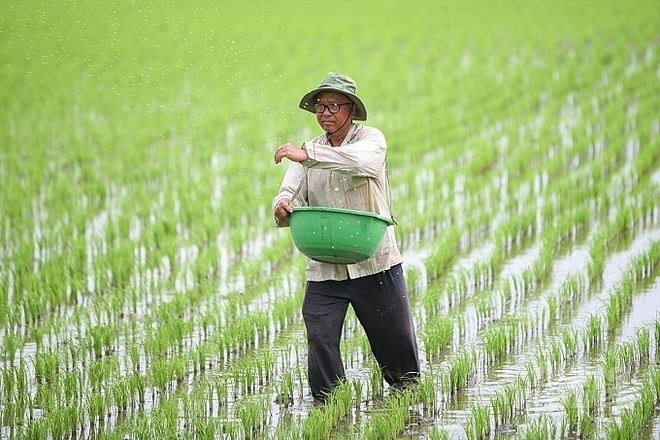 Phân bón Việt lao đao vì chịu “tác động kép" ảnh 3