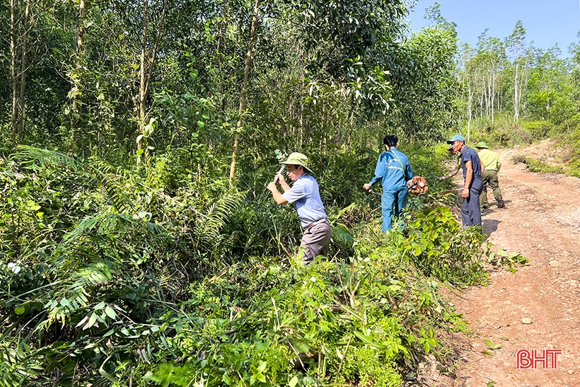 Đức Thọ lo phòng chống cháy rừng mùa cao điểm