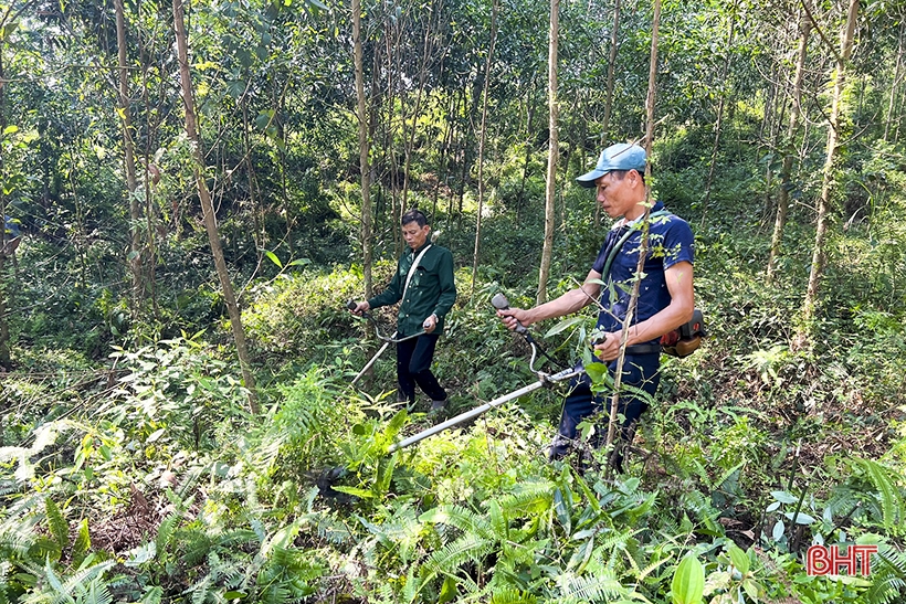 Đức Thọ lo phòng chống cháy rừng mùa cao điểm