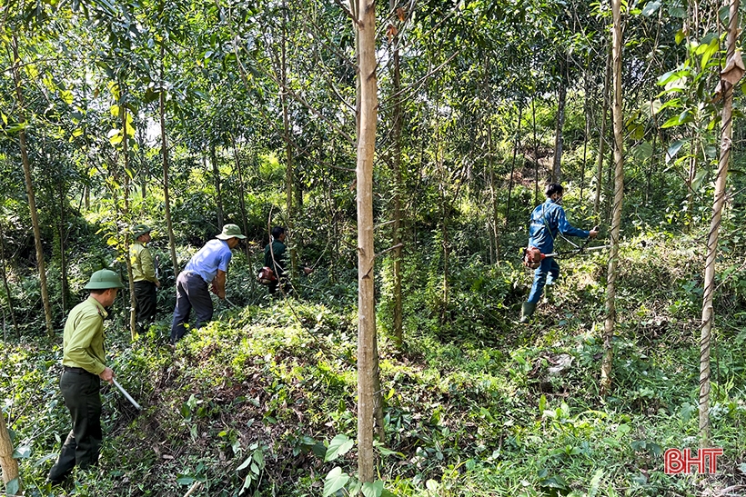 Đức Thọ lo phòng chống cháy rừng mùa cao điểm