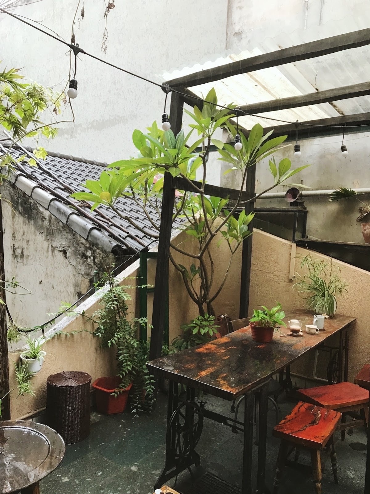 Di choi Ha Noi anh 7