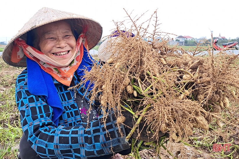 Ngành KH&CN Hà Tĩnh nỗ lực giải quyết các vấn đề của thực tiễn