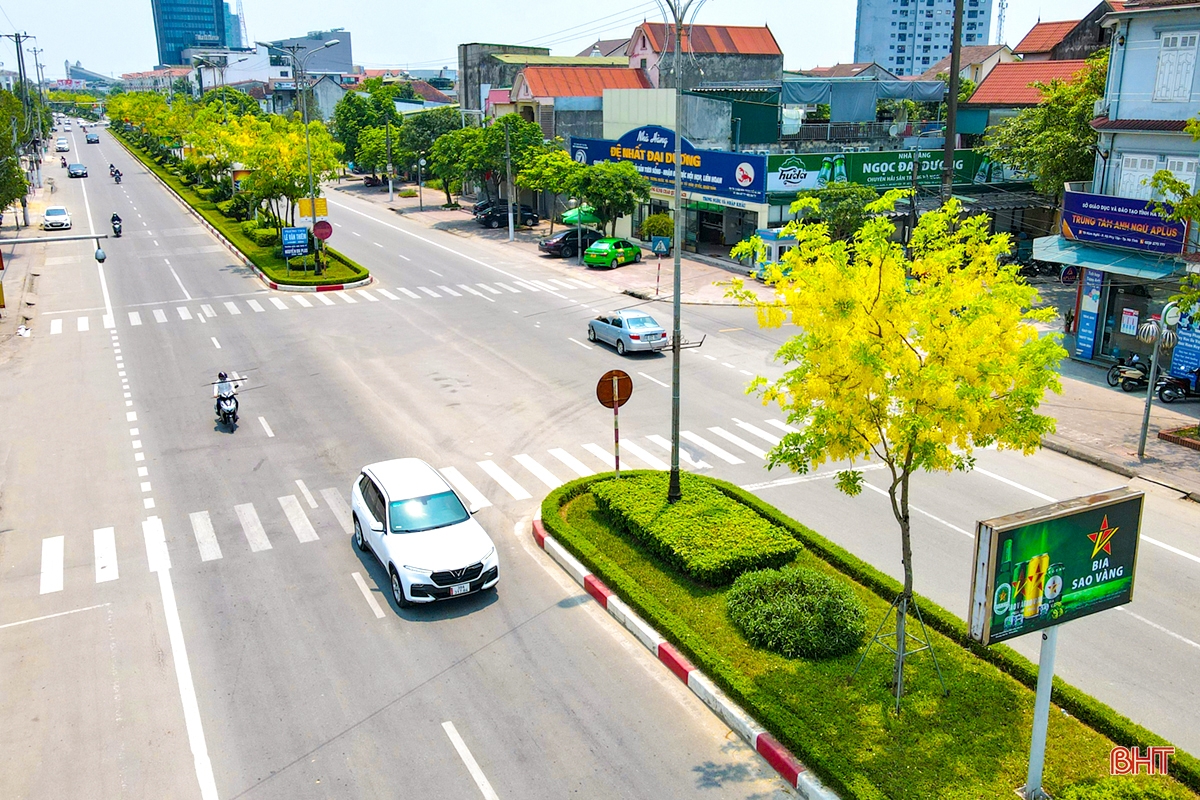 TP Hà Tĩnh đẹp nao lòng mùa hoa muồng hoàng yến