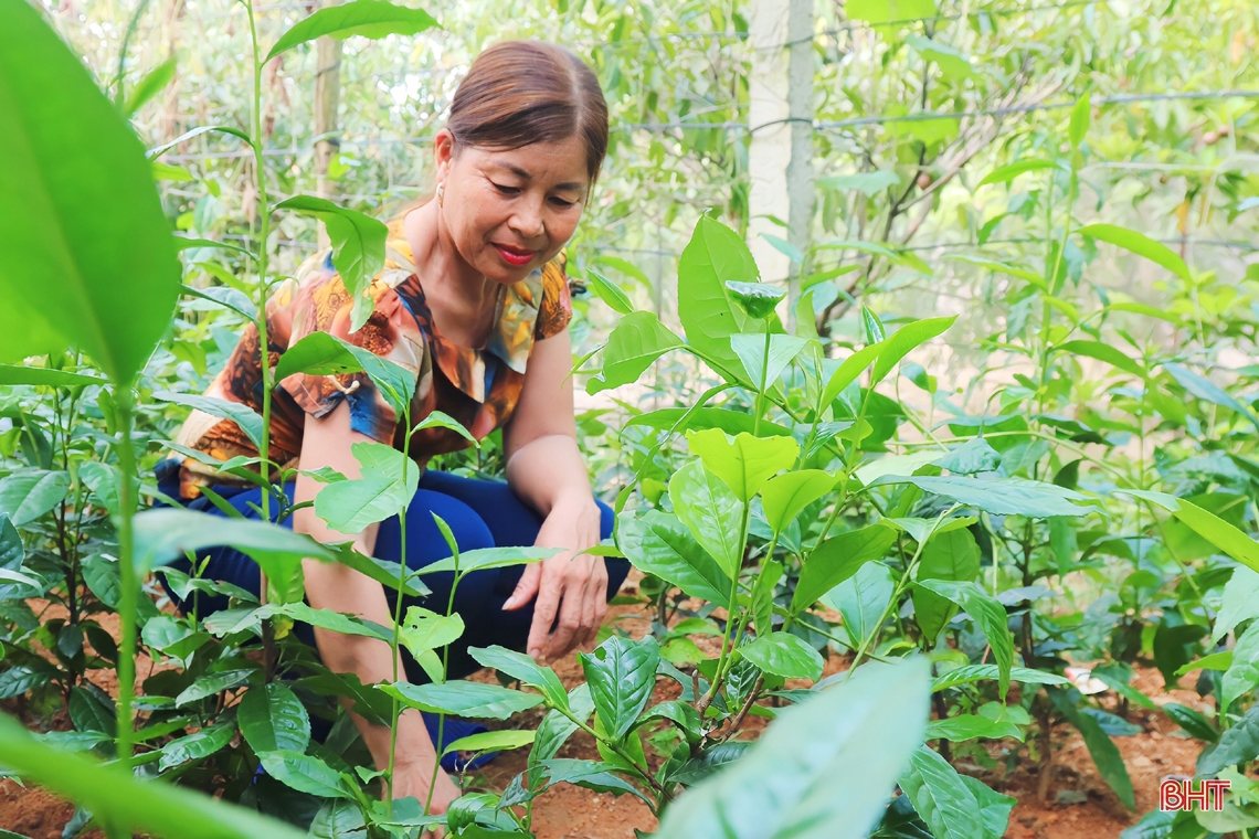 Chuyện về ông bí thư cùng người dân xây miền quê đáng sống