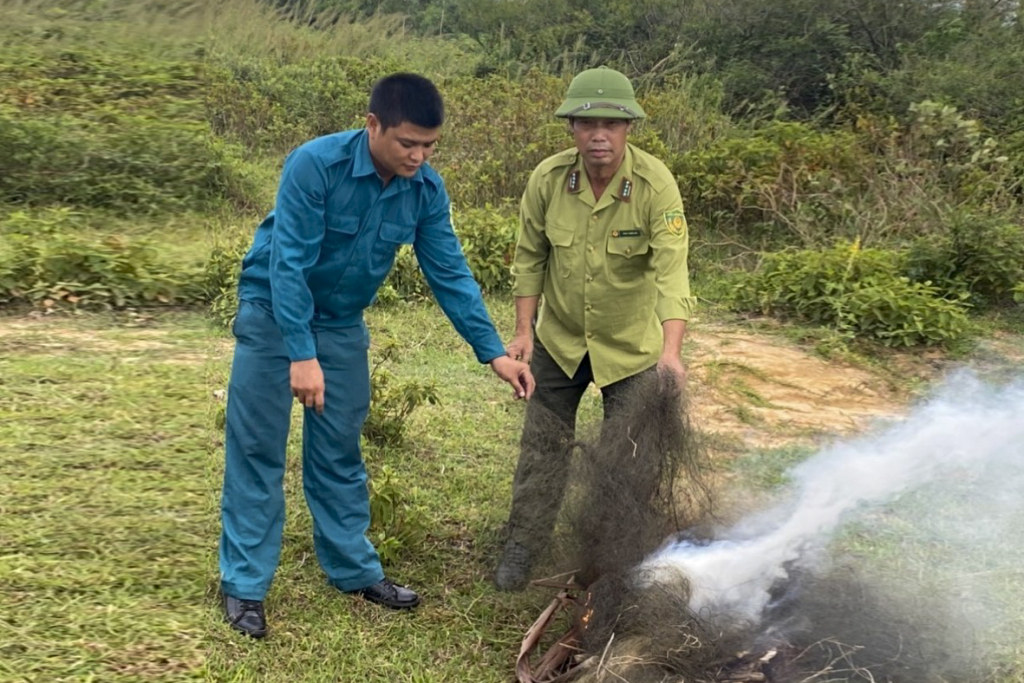 Lực lượng chức năng TP Móng Cái tiến hành tiêu hủy bẫy đánh bắt chim trời.