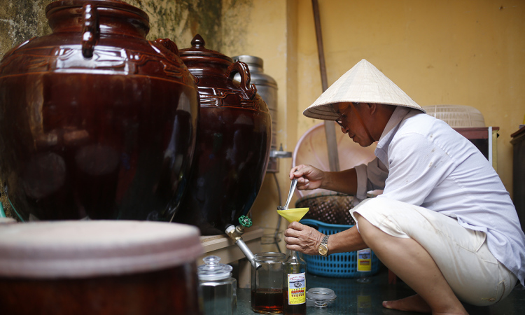 Nghề làm mắm nhỉ cá cơm