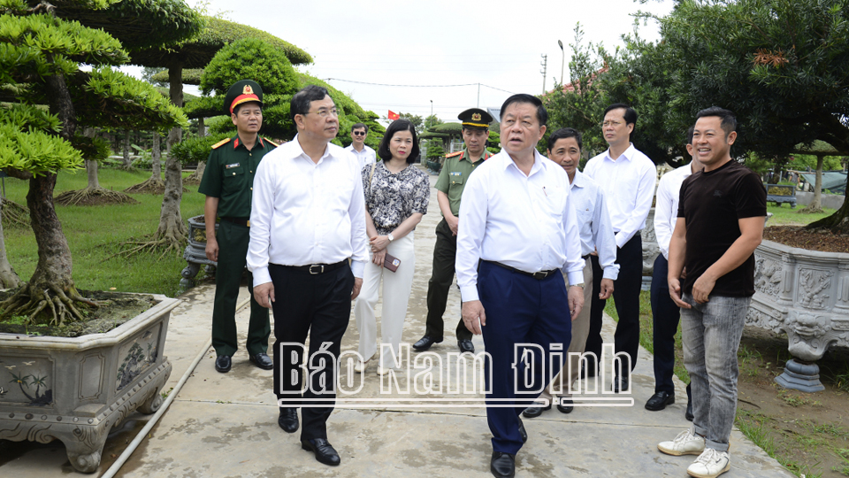 Đồng chí Trưởng Ban Tuyên giáo Trung ương và các đồng chí lãnh đạo tỉnh tham quan làng hoa, cây cảnh Vị Khê, xã Điền Xá (Nam Trực). ĐT8
