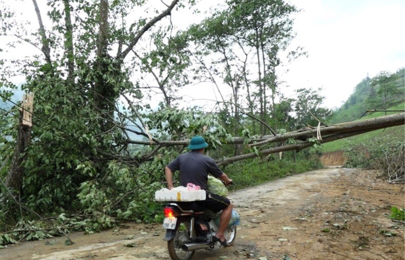 Lốc xoáy làm gẫy đổ cây cối, ách tắc giao thông. 