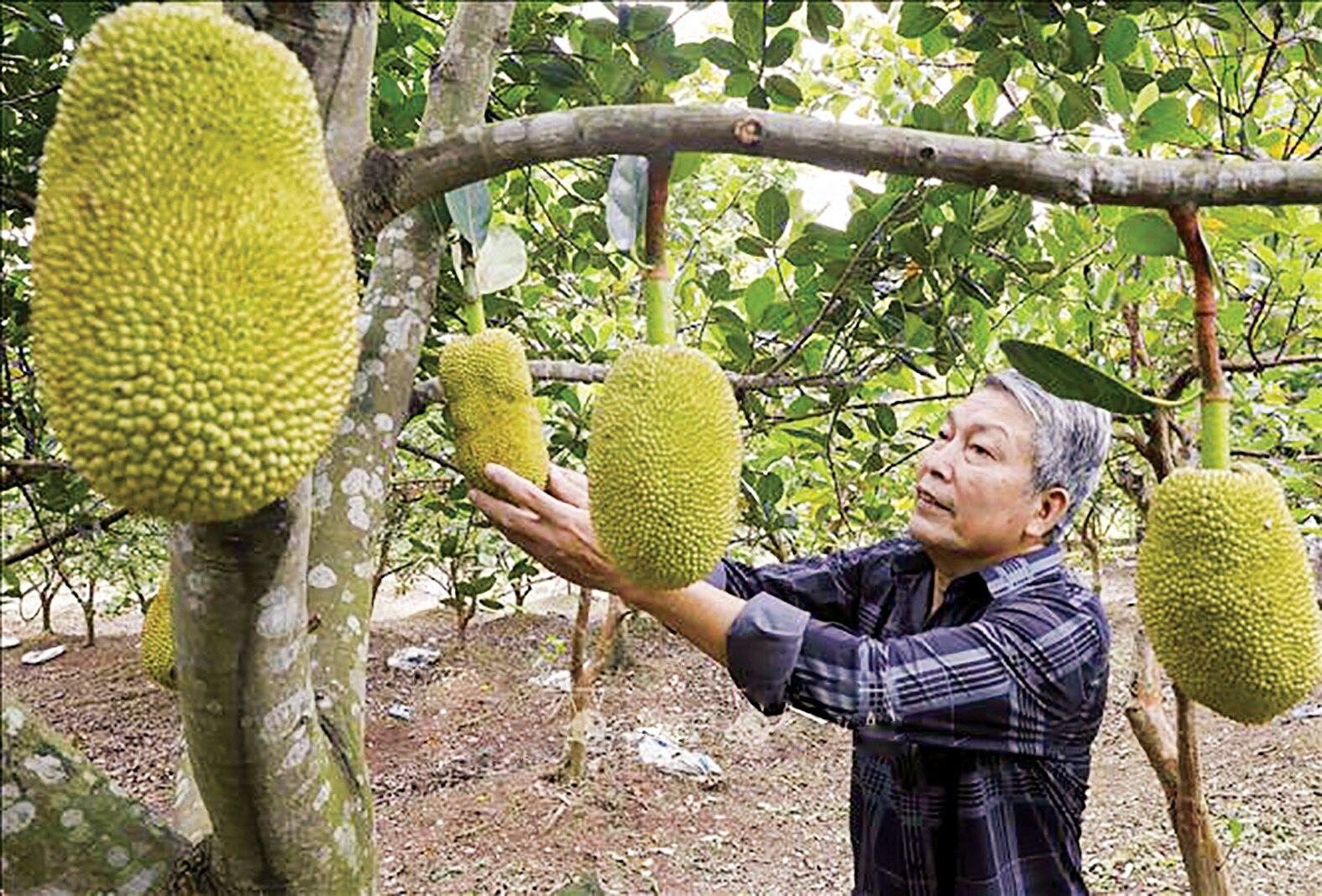 NHCSXH Hà Nam tích cực góp phần giải quyết việc làm