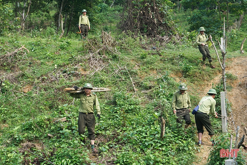 Xử phạt đối tượng chặt phá cây gỗ tự nhiên ở Hương Khê