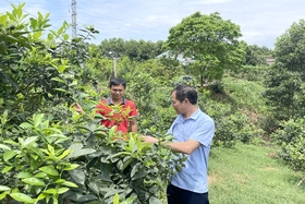 Tiên Phú tăng tốc xây dựng nông thôn mới nâng cao