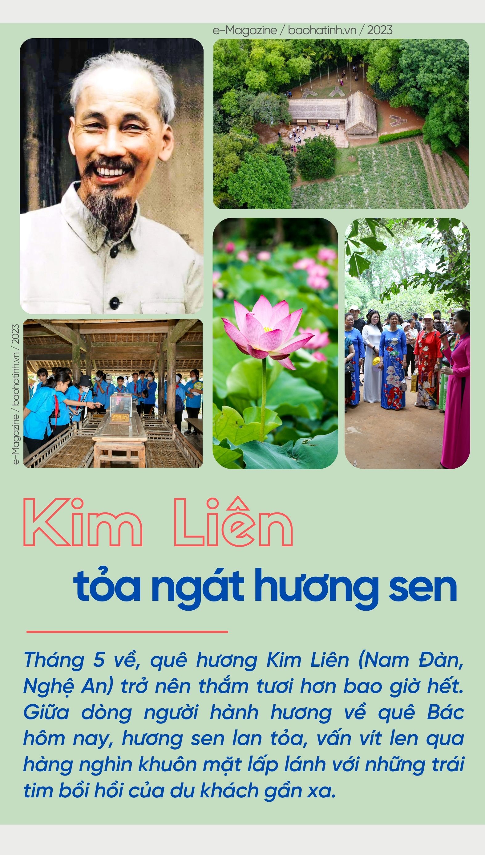 Kim Liên tỏa ngát hương sen