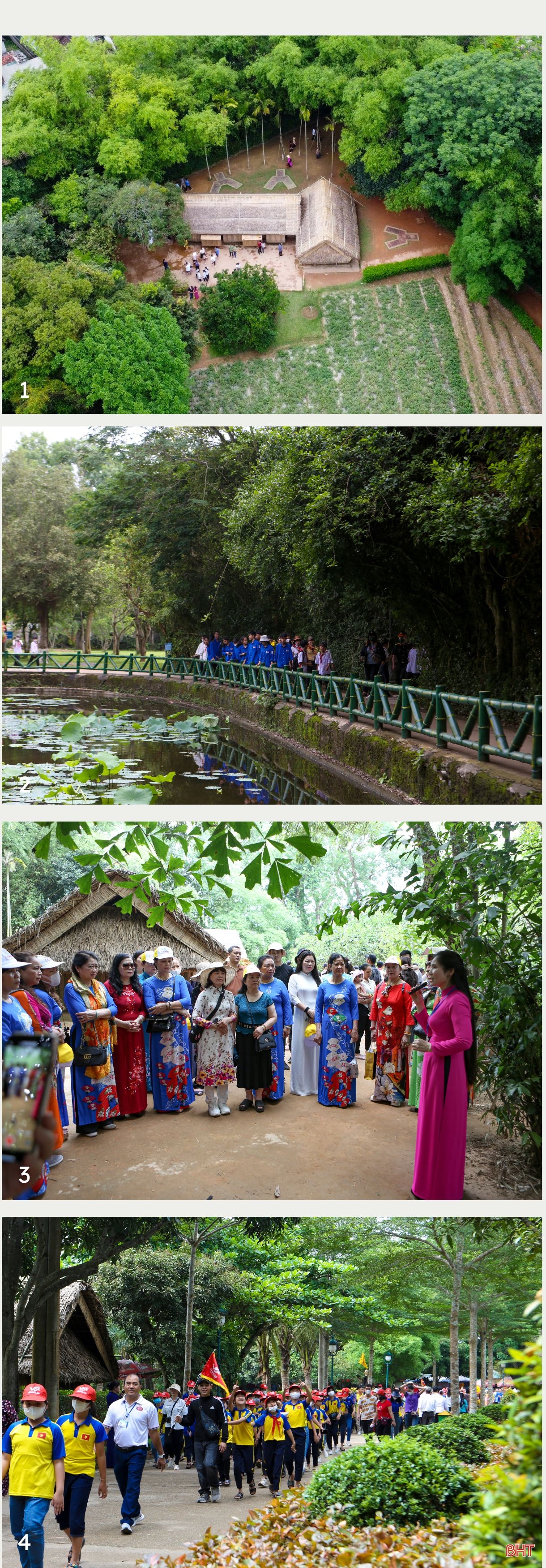 Kim Liên tỏa ngát hương sen