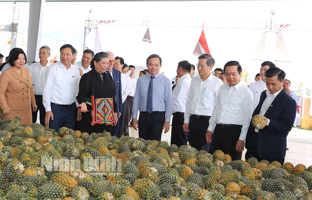 Khánh thành Trung tâm Chế biến rau quả Doveco Sơn La