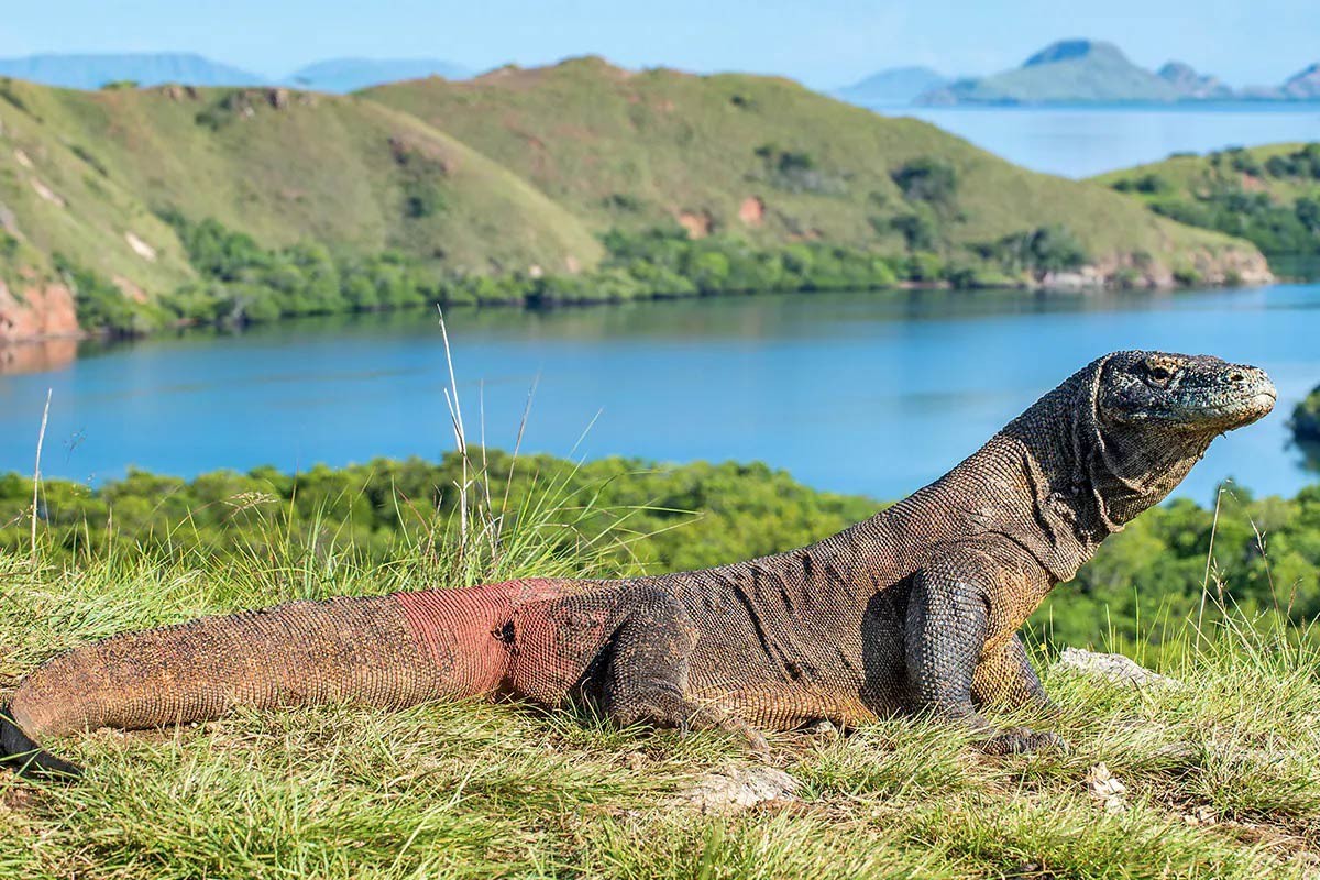 Những điều riêng có ở Labuan Bajo